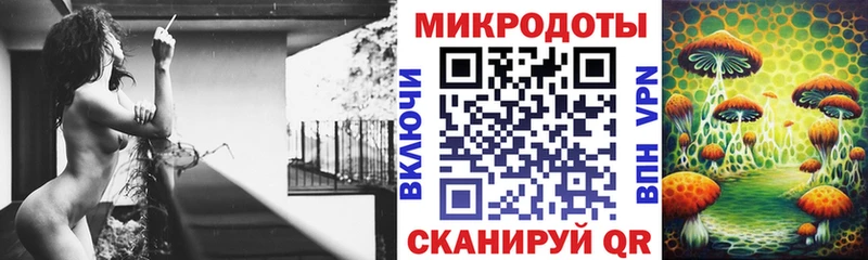 Купить где  Приволжский  Псилоцибиновые грибы MAGIC MUSHROOMS 